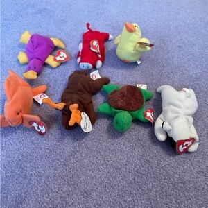 7 teenie beanie babies